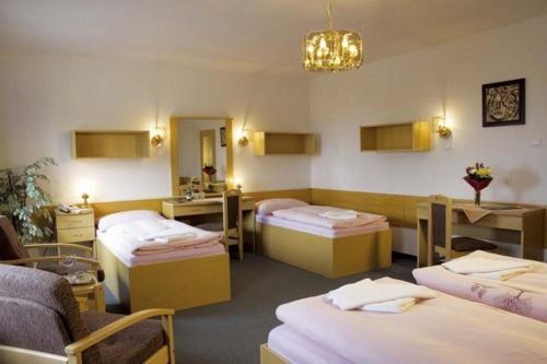 Hotel Star 4,5 Loučná pod Klínovcem 객실 사진