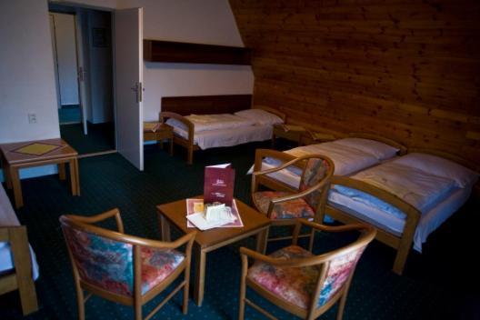 Hotel Star 4,5 Loučná pod Klínovcem 객실 사진